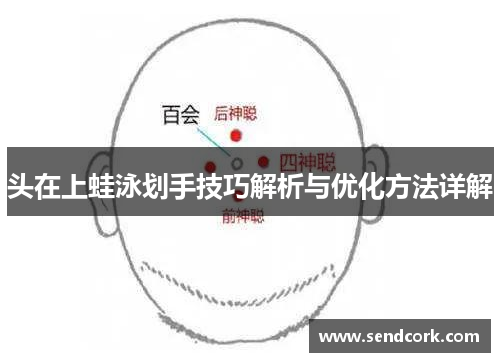 头在上蛙泳划手技巧解析与优化方法详解