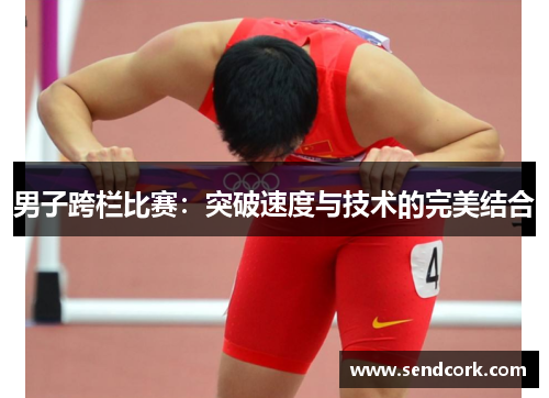 男子跨栏比赛：突破速度与技术的完美结合