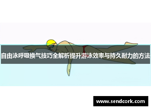 自由泳呼吸换气技巧全解析提升游泳效率与持久耐力的方法