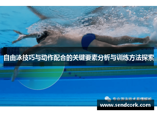自由泳技巧与动作配合的关键要素分析与训练方法探索