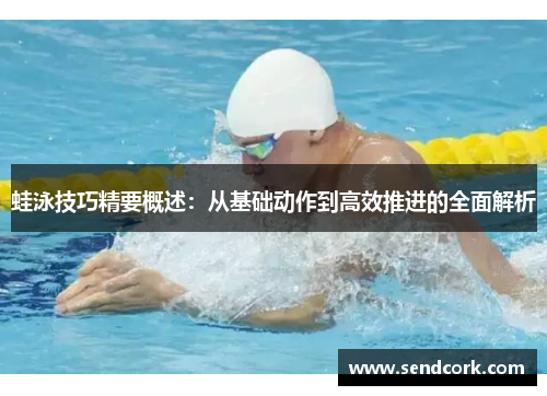 蛙泳技巧精要概述：从基础动作到高效推进的全面解析