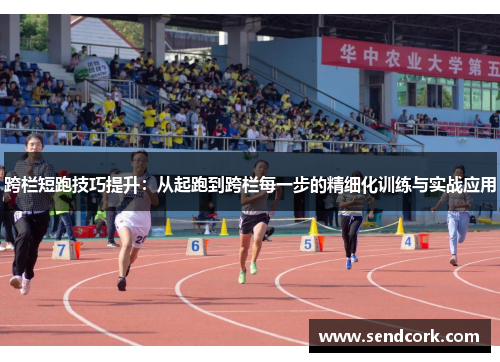 跨栏短跑技巧提升：从起跑到跨栏每一步的精细化训练与实战应用