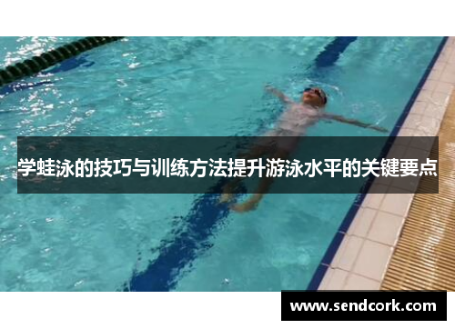 学蛙泳的技巧与训练方法提升游泳水平的关键要点
